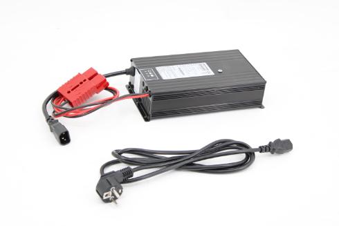 PROSTOWNIK HF 24V 20A SB175R