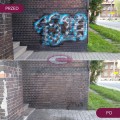 Graffiti Remover Red Gel 5L - preparat do usuwania wielowarstwowego graffiti, farb, markerów z powie