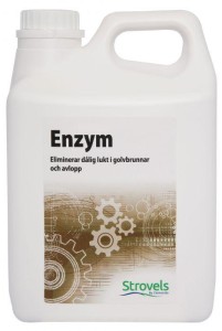 Enzym