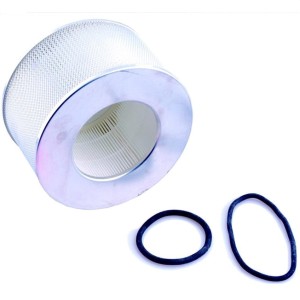 FILTR HEPA NILFISK GS/GM KPL